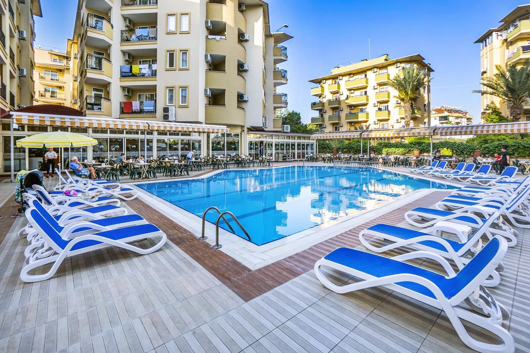 KLEOPATRA ROYAL PALM